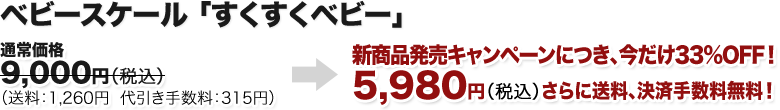 新商品発売キャンペーンにつき、今だけ３３％OFF！　５,９８０円