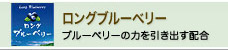 ロングブルーベリー（ブルーベリーの力を引き出す配合）