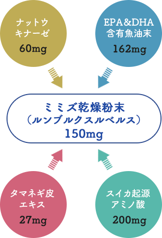 4種類のサポート成分を集中配合