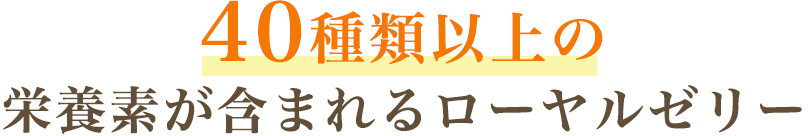 ４０種類以上の栄養素が含まれるローヤルゼリー