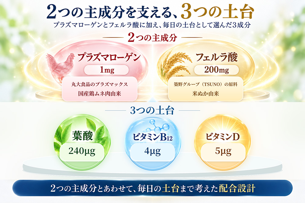 ３つの土台　葉酸、ビタミンB12、ビタミン
