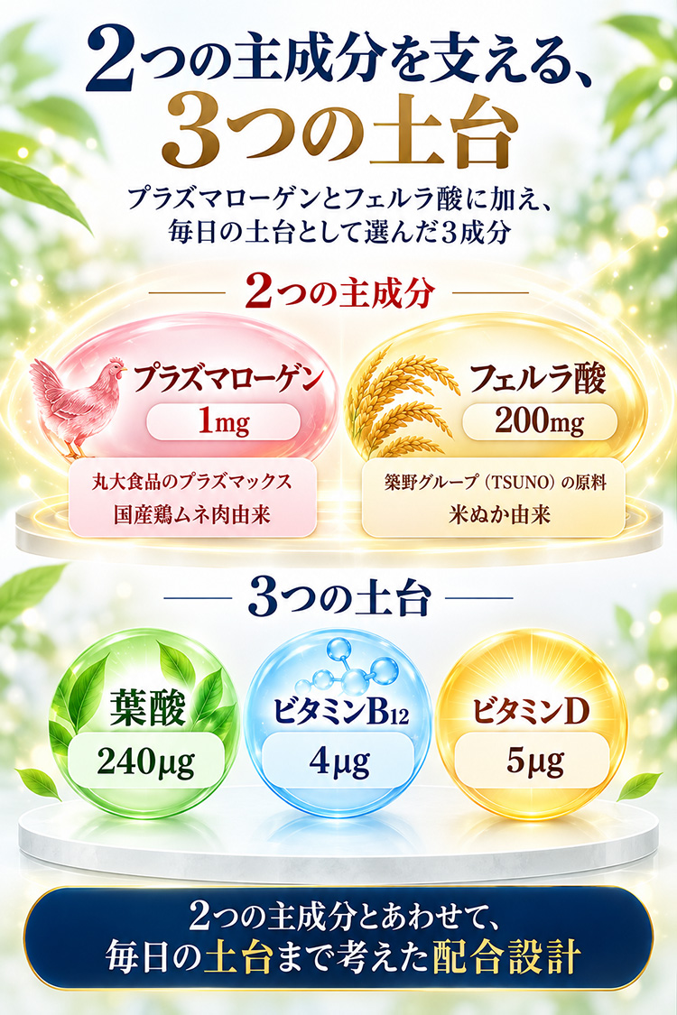 ３つの土台　葉酸、ビタミンB12、ビタミン